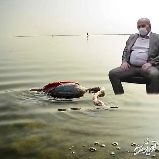 واکنش جالب به نشستن کللانتری واکنش جالب به نشستن کللانتری